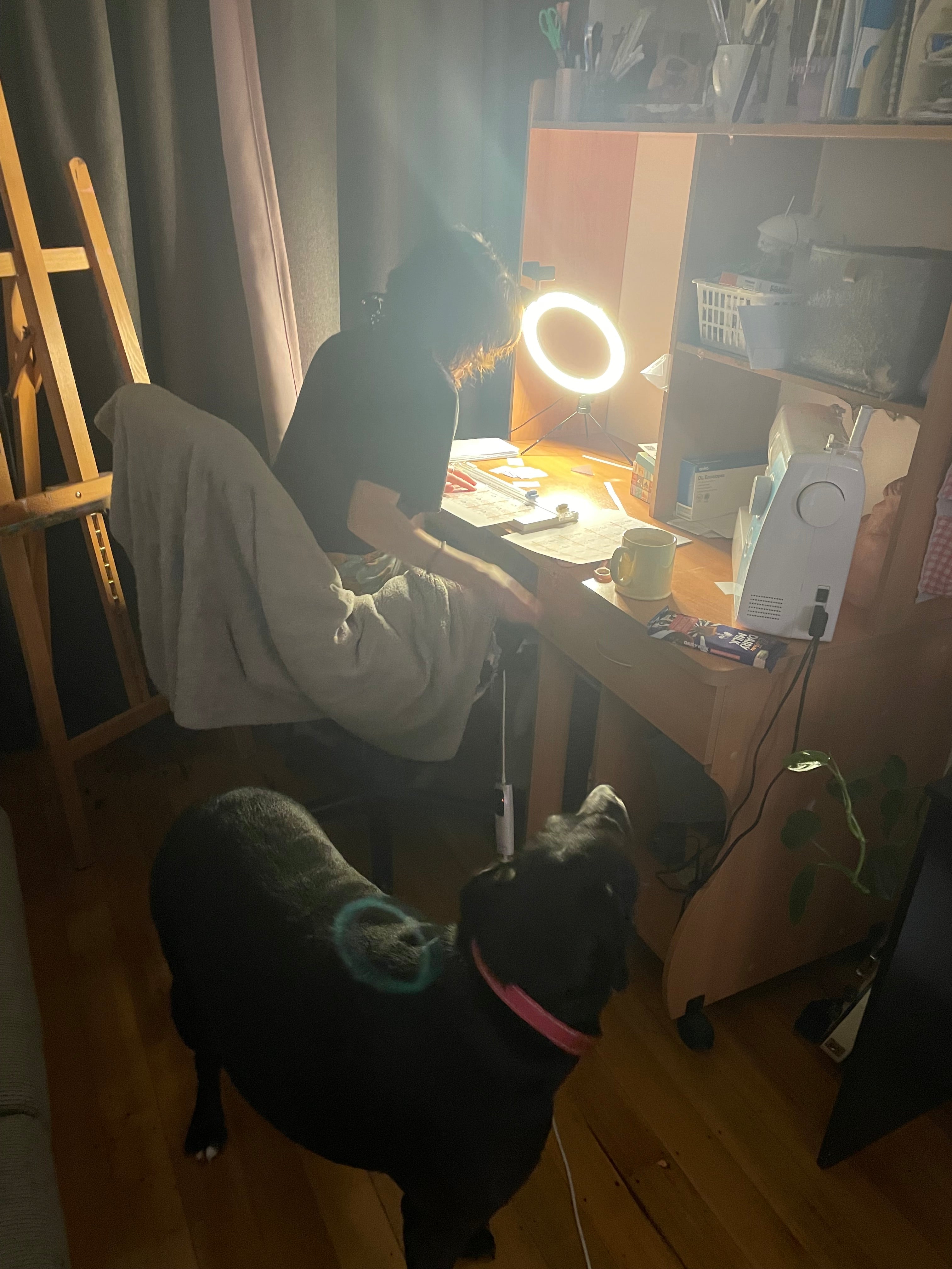 The Artist Mail Club