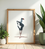 The Relaxed Pukeko | Art Print