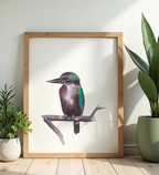 New Zealand Bird Art Printables Set of 8 | Hand Painted (Digital Download)